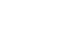 RAPID DELIVERY